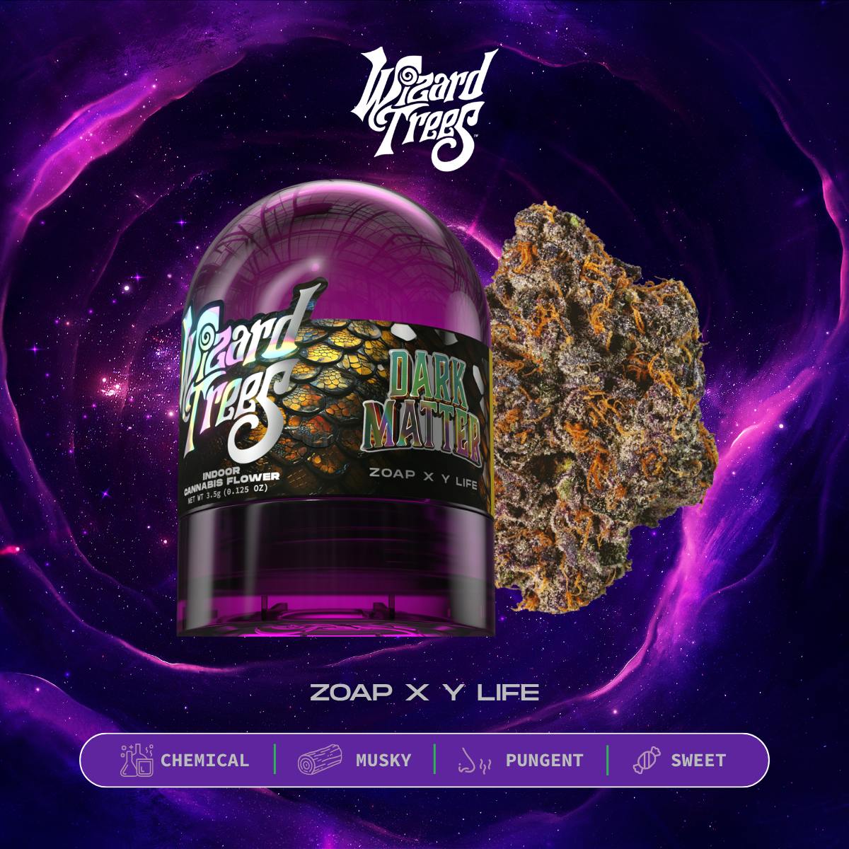 WIZARD TREES — Dark Matter