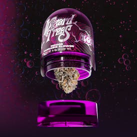 Wizard Trees | 3.5g Flower - Zoza