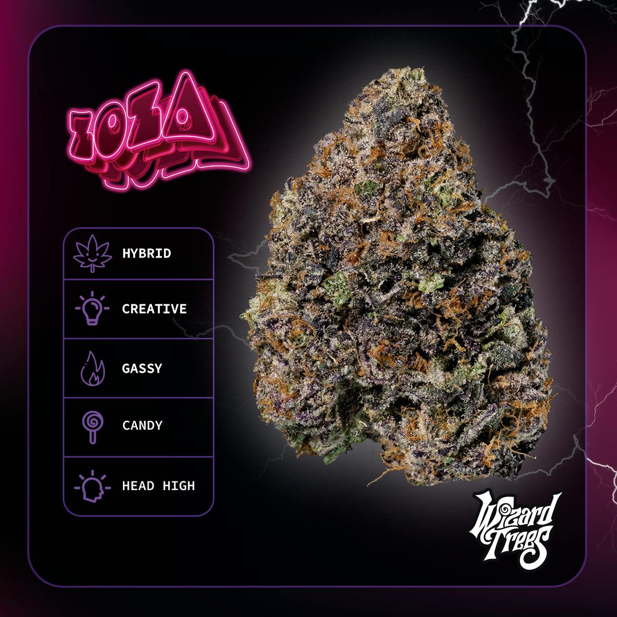 WIZARD TREES — Zoza