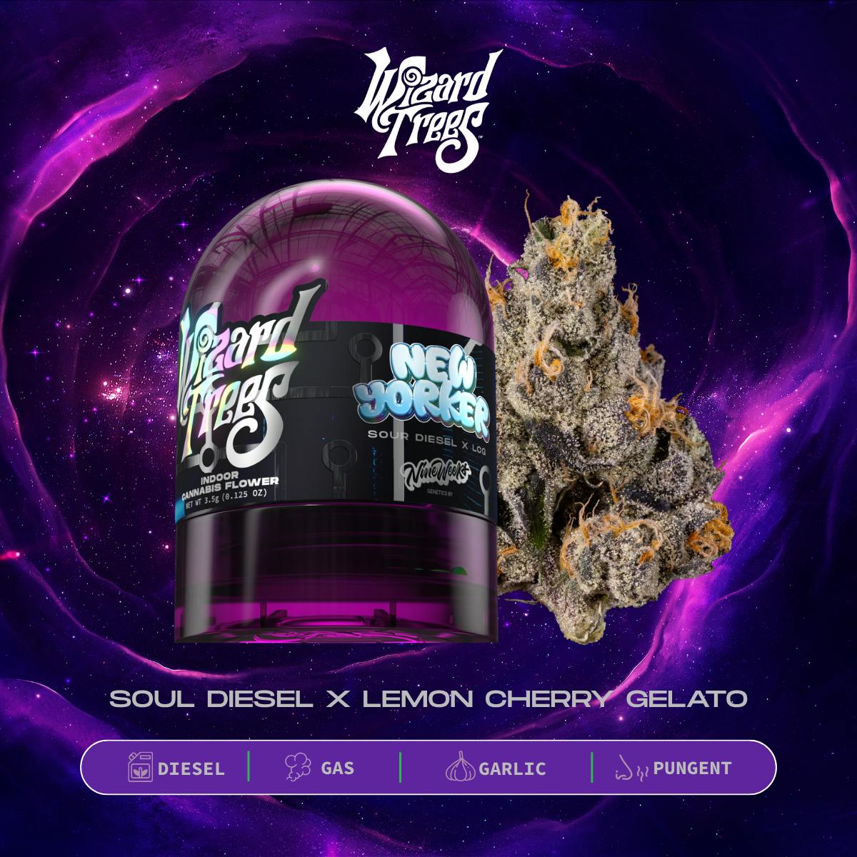 Wizard Trees | 3.5g Flower - New Yorker - Wizard Trees