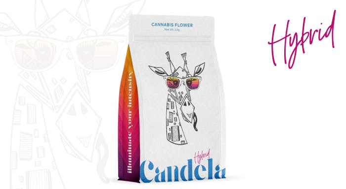 Candela Stankonya 3.5G Prepack by Candela