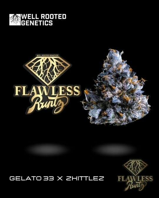Well Rooted Genetics | Flawless Runtz | Big Buds | 3.5g