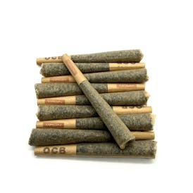 Blue Dream Dog Walker