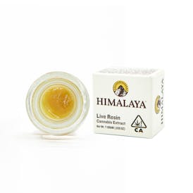 Caffeine (Live Resin Concentrate) - 1G