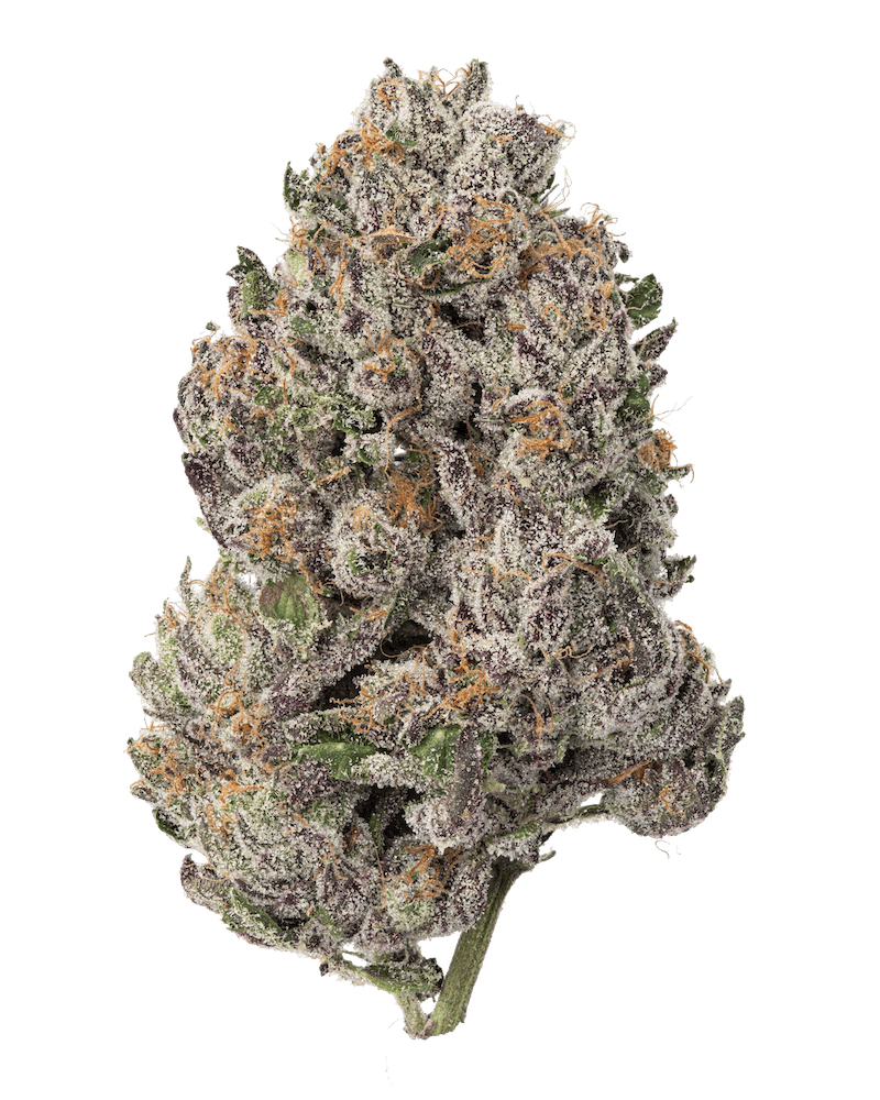 Gelato Cake by Fresh