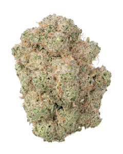 Fresh - Monkey Spunk