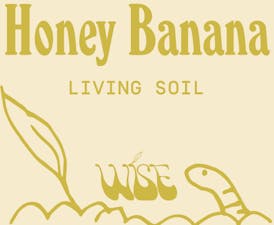 Wise | Honey Banana | Live Hash Rosin | 1g
