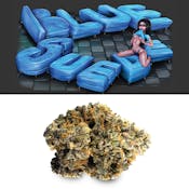 Cookies Blue Sued 3.5 Gram Cup