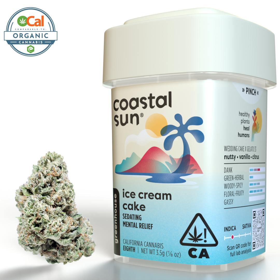 Coastal Sun — Ice Cream Cake