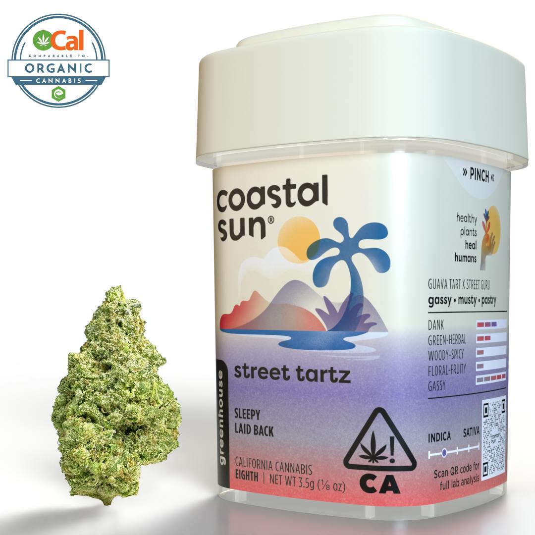Coastal Sun: Street Tartz