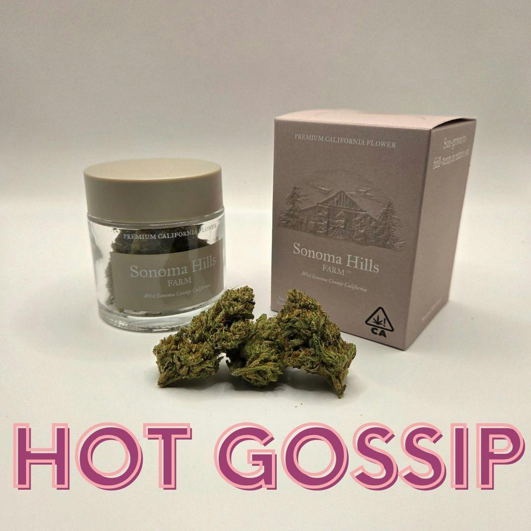 Hot Gossip Flower Jar