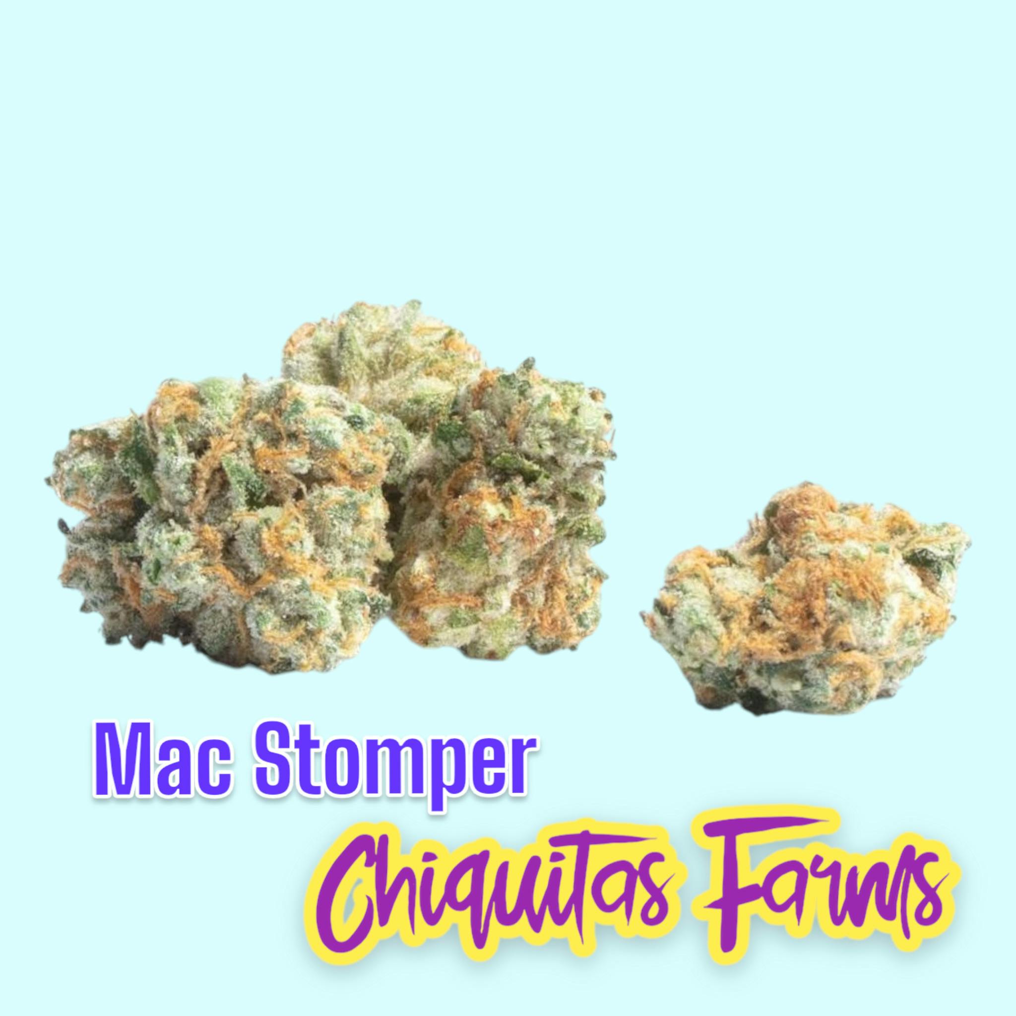 Mac Stomper - Chiquitas Farms
