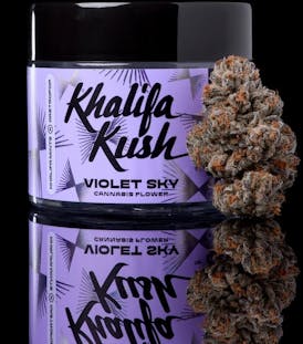 Violet Sky Flower