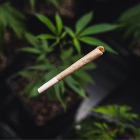 Kind Love Hippy Crasher 1g Pre-Roll