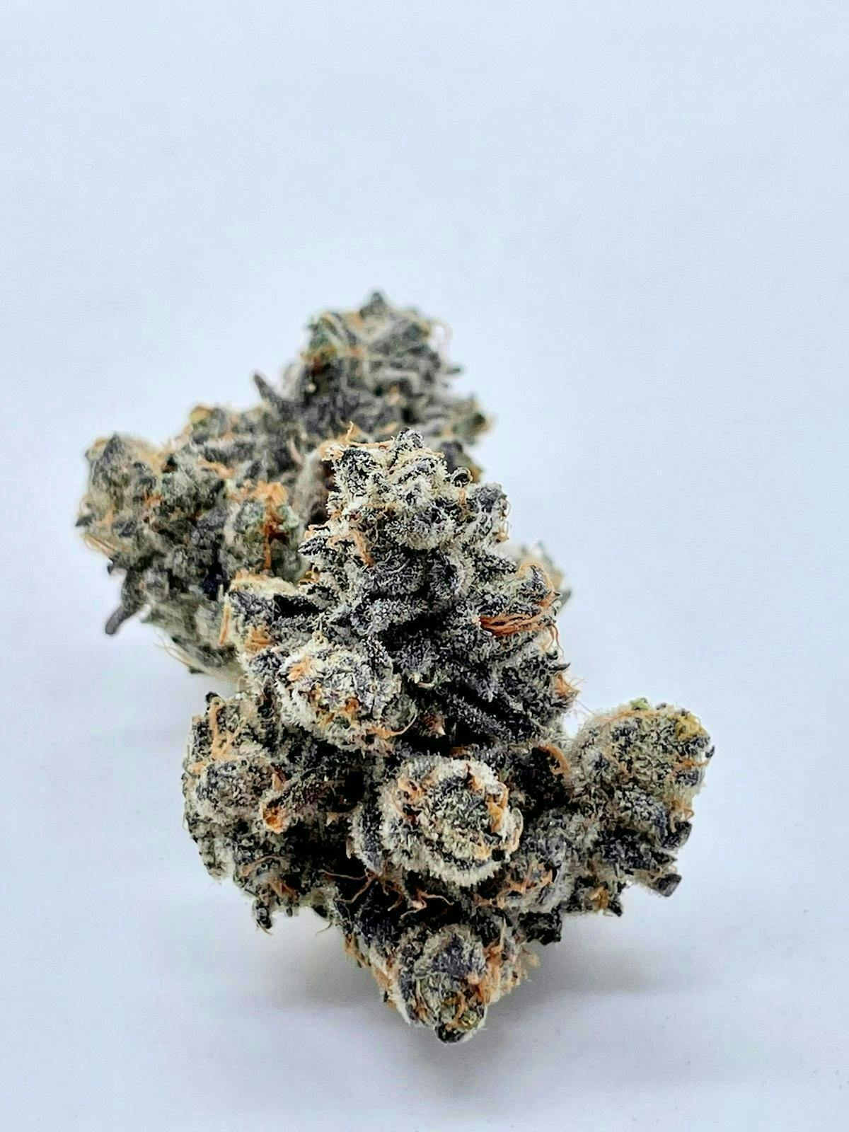 Animal Tsunami 70/30 Indica Dominant