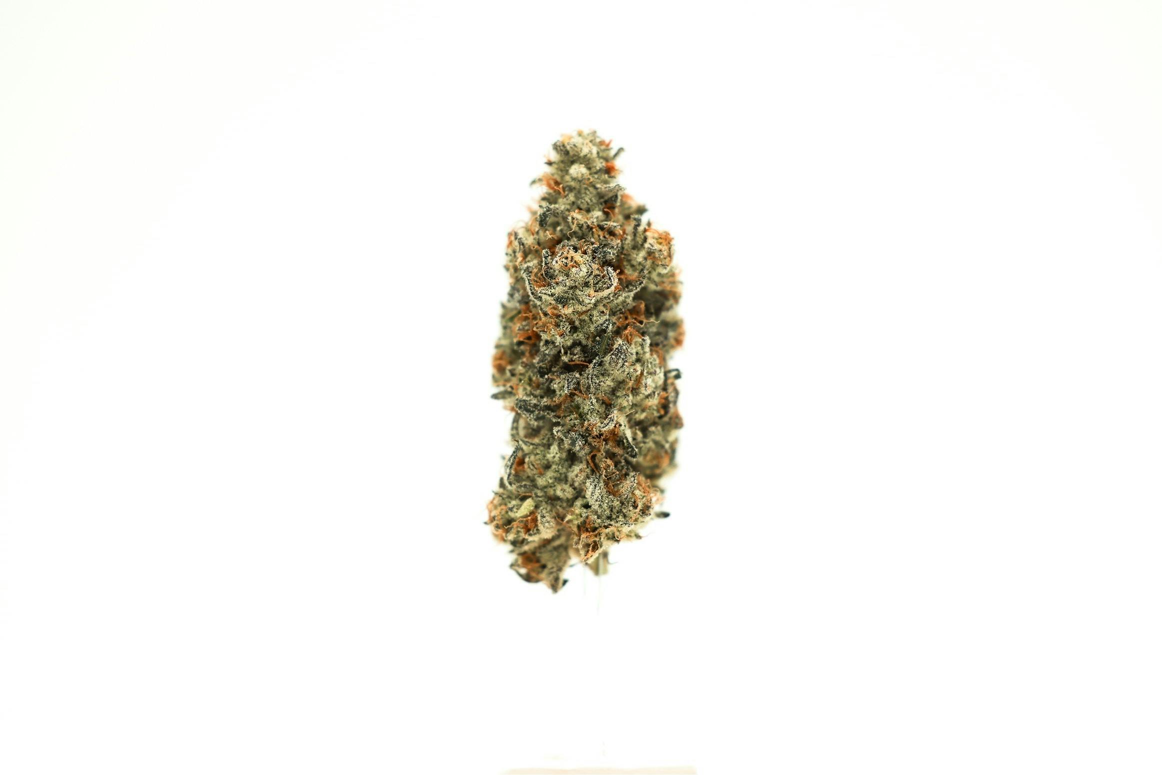 Dante's Inferno 3.5g by LegaSea Farms