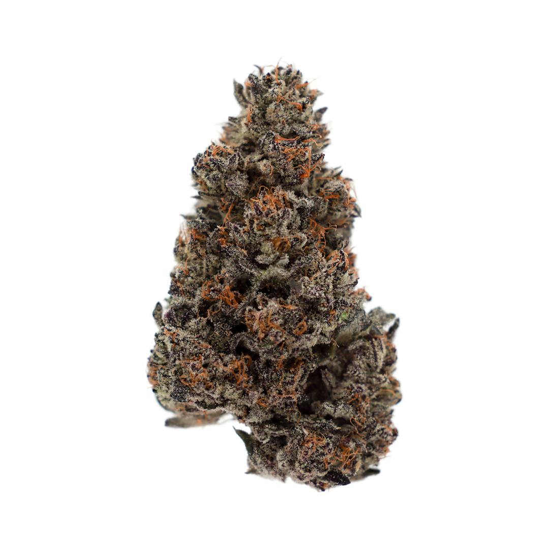 Trophy Wife 3.5 by LegaSea Farms