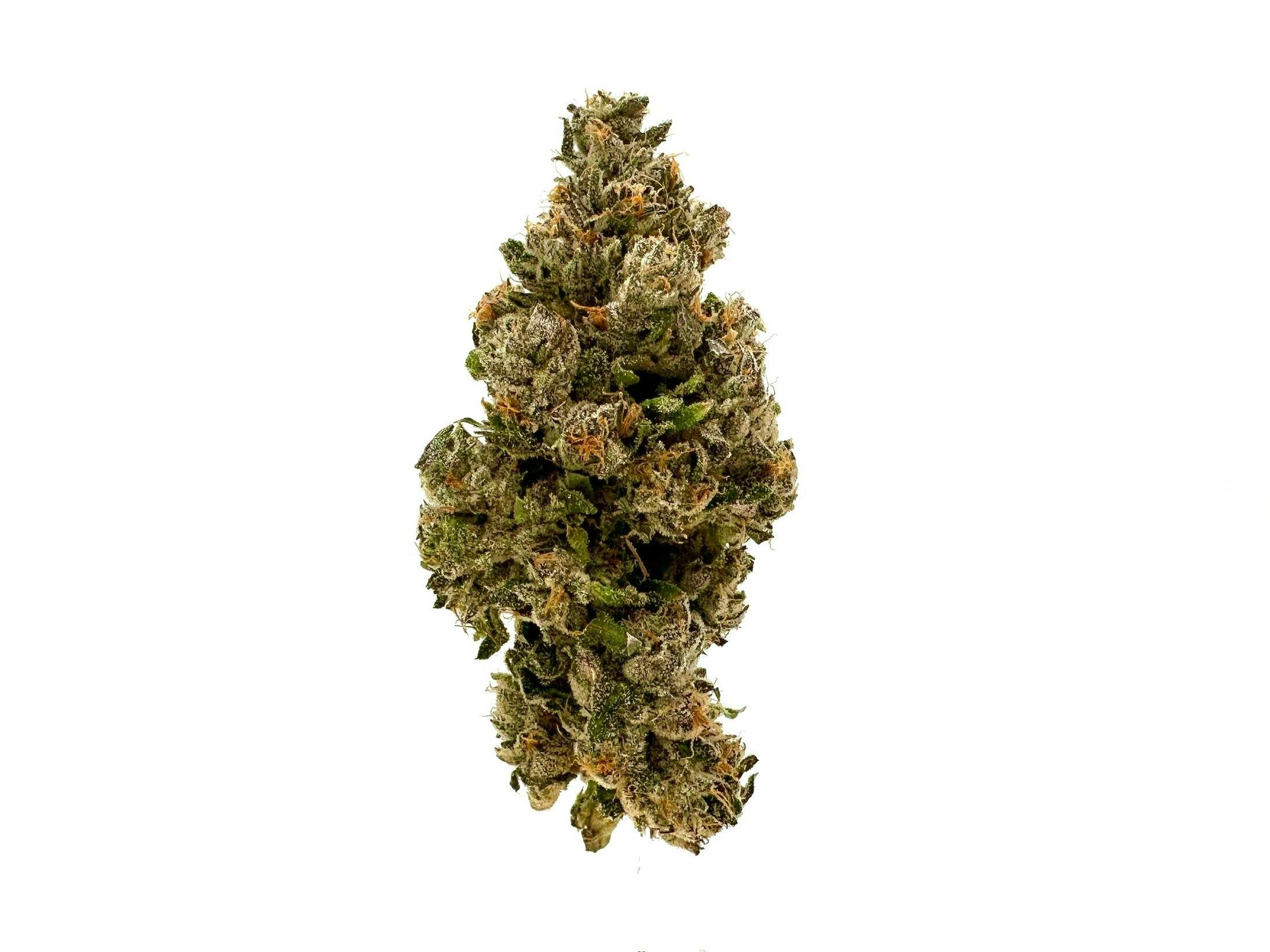 Sherb Cream Pie Flower