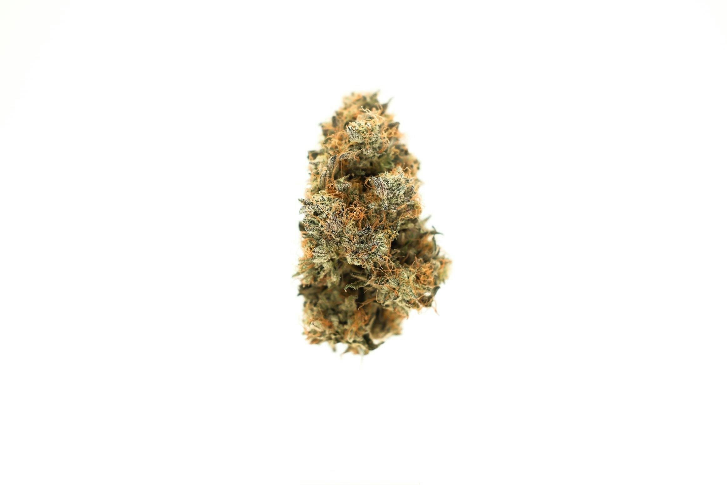 Egg Roll Flower by LegaSea Farms