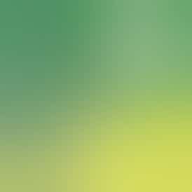 John Daly Fairway Runtz | 1.5G Eclair Handcraft | HYMAN | REC