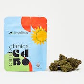 Ghost Vapor OG - 3.5g - Sungrown Flower