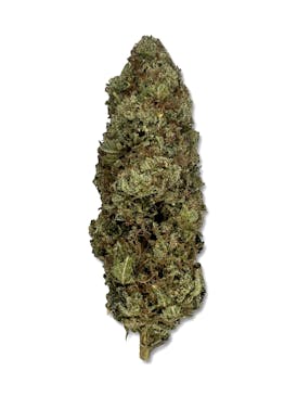 Headbanger OG - Indico