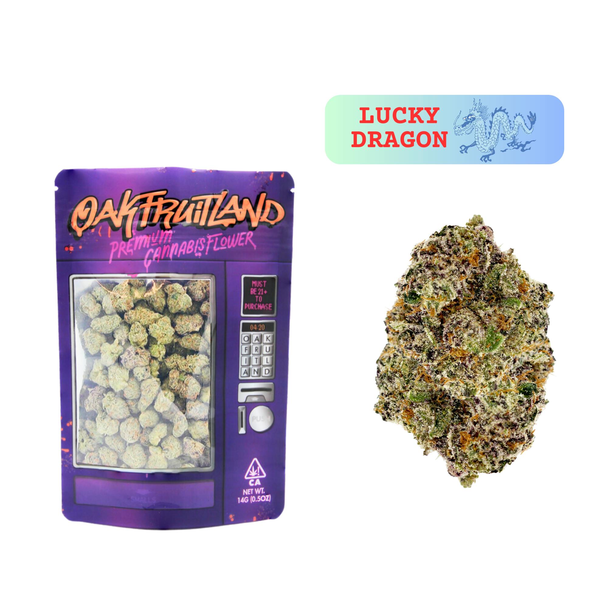 Lucky Dragon Premium Flower 14g - Funsize Series