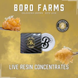 B.B.G. - Live Resin Sugar - 1g