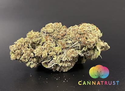 Trusty Transportations - Trusty - Apple Fritter 8th/3.5Grams(25%THC, Indica)