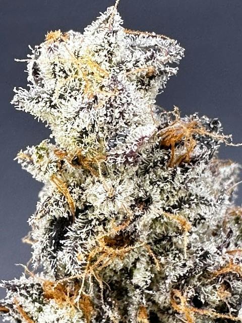 HELLA GAS (SIRIUS EXCLUSIVE) by SIRIUS RESEARCH LLC