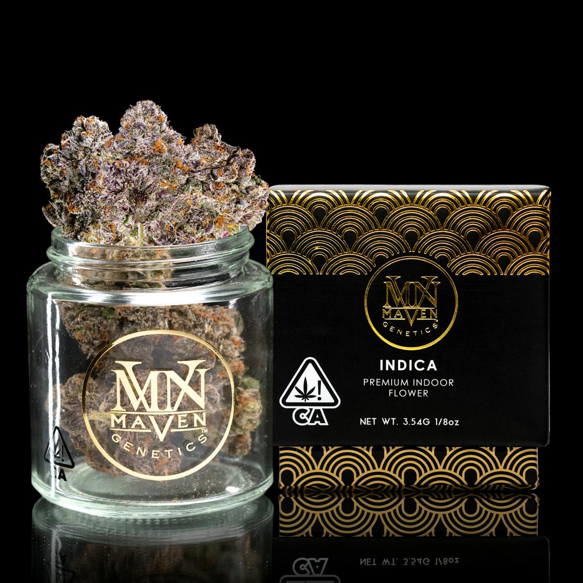 Maven Genetics — Rs-x