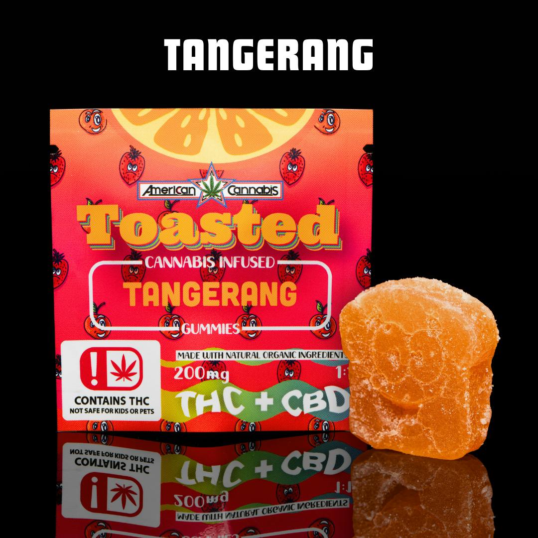 ACC Toasted Gummies Tangerang Single (Hybrid)