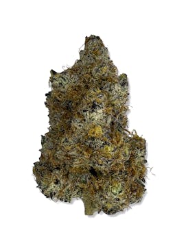 Mendo Cookie Breath - FLUID