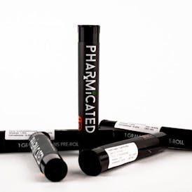 PhD 1g Pre-Roll - White Raspberry (S)