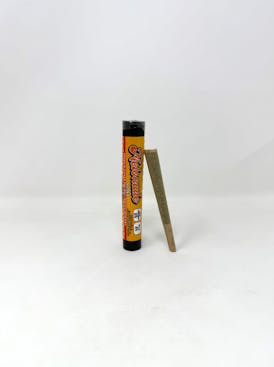 Melonade 1g Kief Infused Single Pre Roll