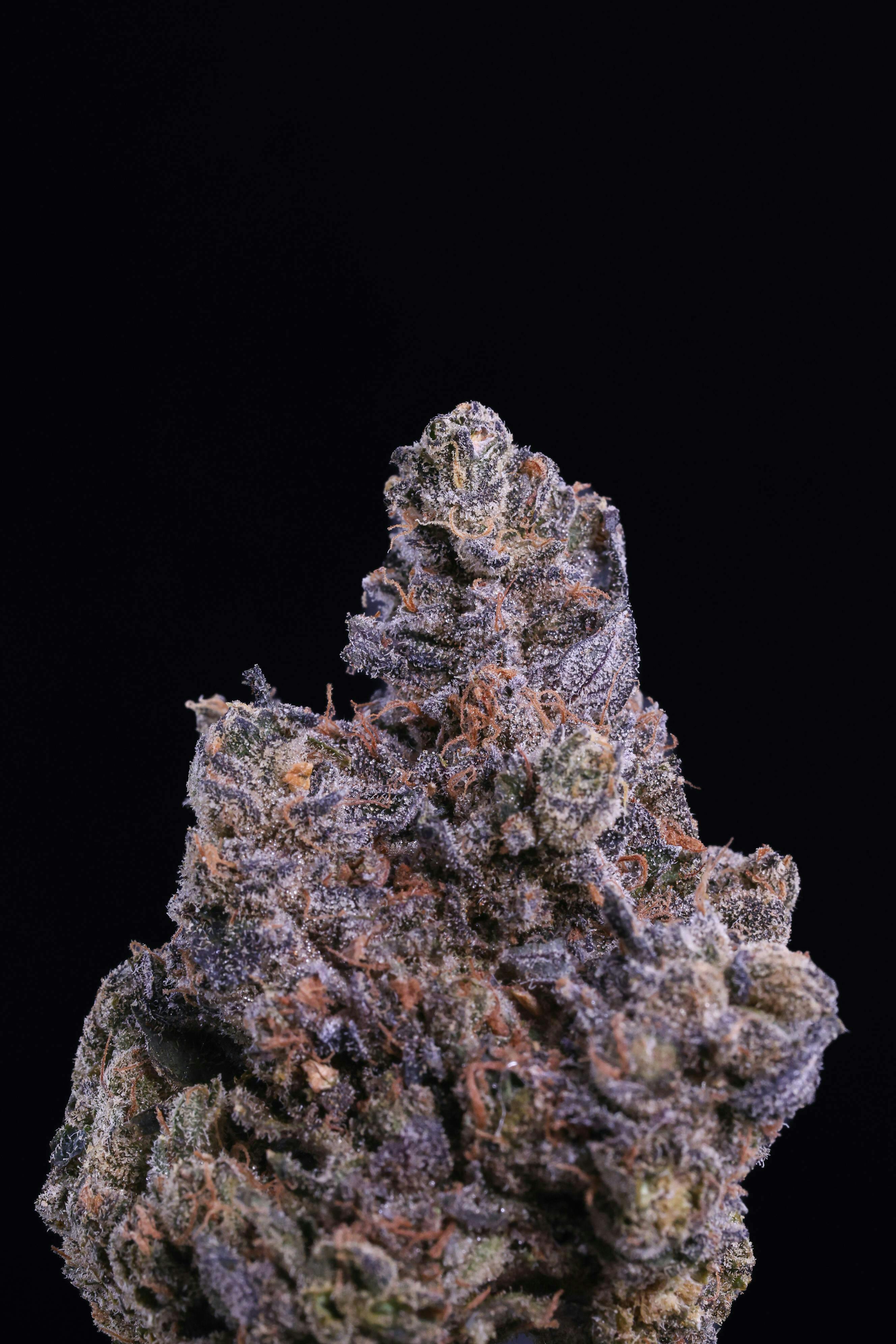 Melonball-Z | Big Buds | 3.5g by Breathe Free