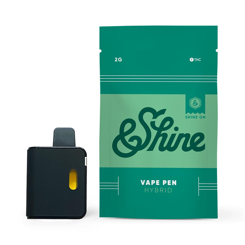 &Shine 2g Disposable - Apple Fritter by &SHINE