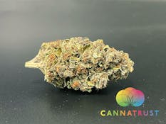 BOB STASH | Sugar Plum | 14Grams| SATIVA