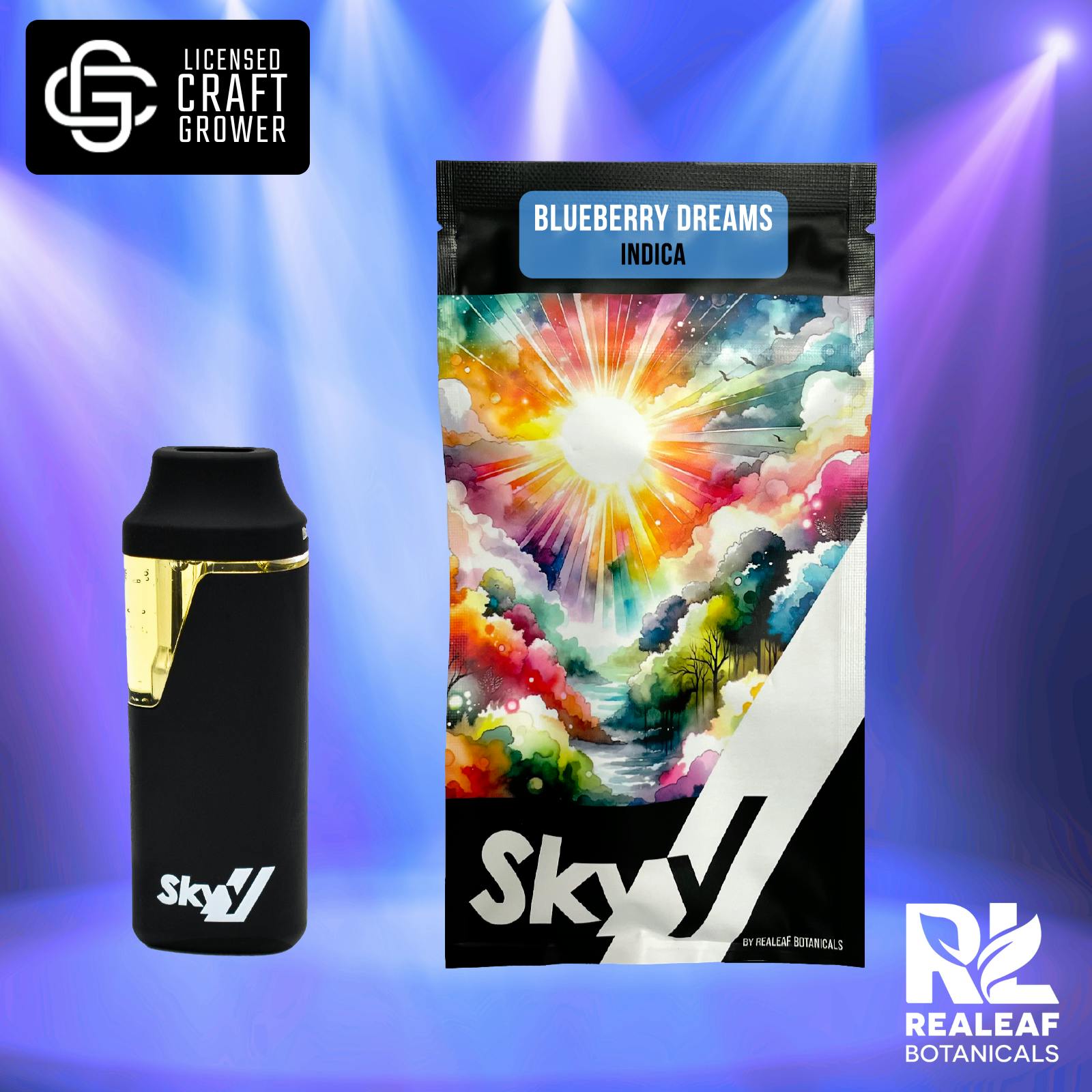 Blueberry Dreams Disposable Pen 2.0g