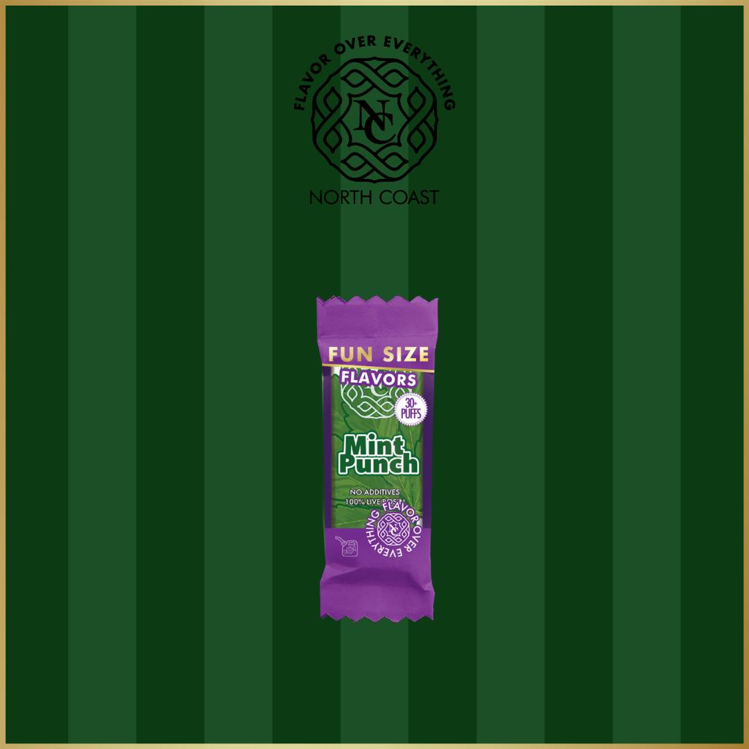 North Coast Mint Punch Fun Size Rosin Disposable Vape .3g
