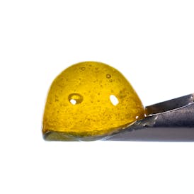 Banana Punch Live Rosin Jam - Tier 2