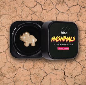 Chronic Berries - Hashimals - Live Hash Rosin - Triceratops - 0.5g