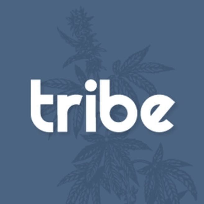 Tribe | Variety | Jaywalkers Minis | 0.4g each | 20pk