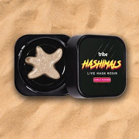 Garlic Budder - Hashimals - Live Hash Rosin - Starfish - 2g