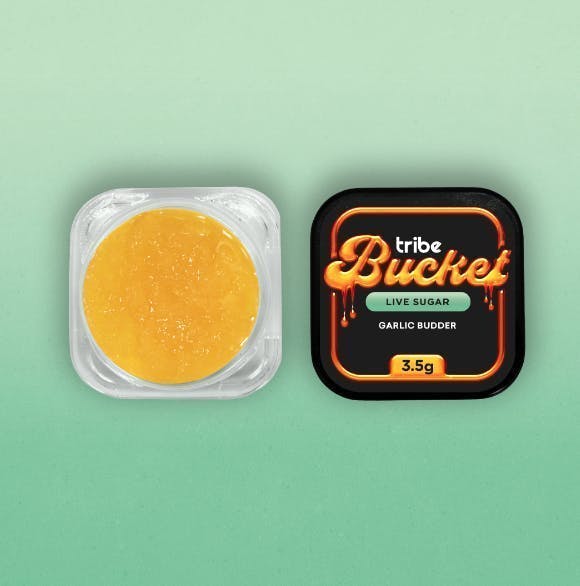 Tribe | Garlic Budder | Live Sugar Bucket | 3.5g