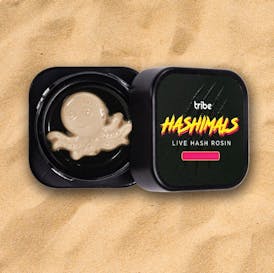 Grapes and Cream - Hashimals - Live Hash Rosin - Octopus - 2g