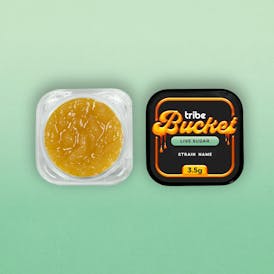 Lemon Budder - Live Sugar - Bucket - 3.5g