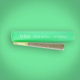 Rainbow Suds - Hybrid - Flower Pre Roll - 1g