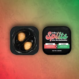 Tribe Splits - Rainbow Fruit & Garlic Biscuit - 2g