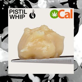Bahama Mama OCal Live Rosin Badder (1g)